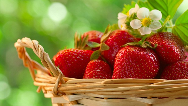 Strawberry - Fruits to Eat Daily