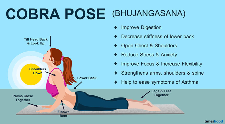 Cobra Pose (Bhujangasana) - Yoga for Beginners