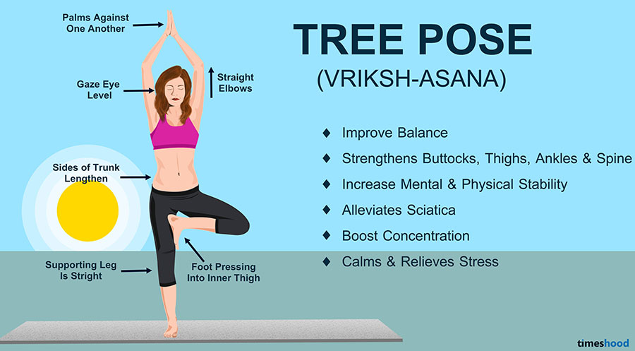Tree Pose (Vrikshasana) - Yoga for Beginners