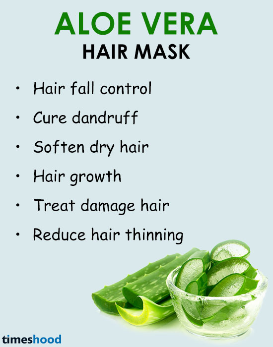 How to stop hair fall? Herbal homemade aloe vera hair mask. How to use aloe vera for hair fall. Aloe vera for hair growth. Tips to prevent hair fall. Aloe vera benefits. 