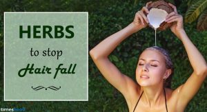 How to stop hair fall naturally? 5 DIY Herbal Juice which prevent hair fall. Try these Herbal Remedies to Stop Hair Fall.