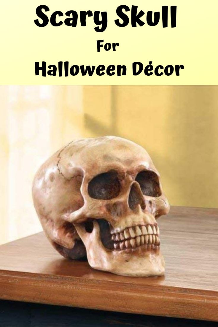 Daring decorator’s delight - A Scary human skull to decorate Halloween party night. Find 17 more best reviewed haunted Halloween decoration idea on Amazon.